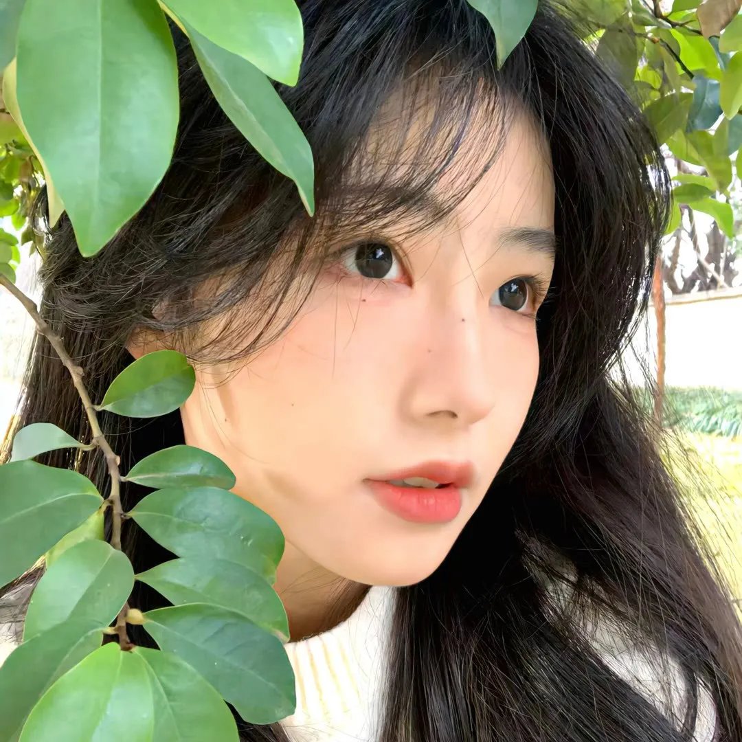 狼群出动